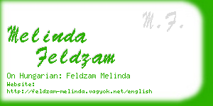 melinda feldzam business card